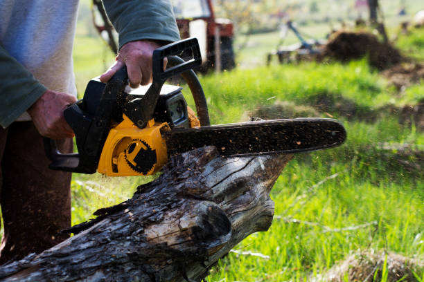 Best Lawn Mowing  in Cumberland Hill, RI